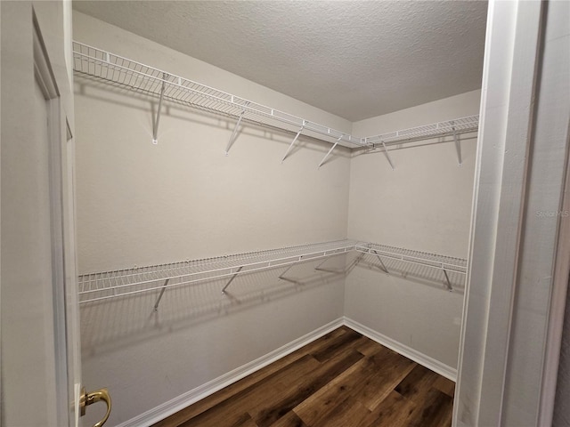 walk in closet with dark hardwood / wood-style floors