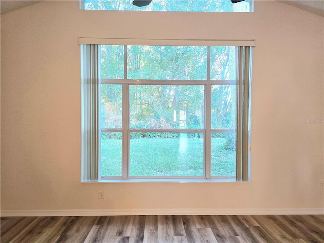 room details with hardwood / wood-style flooring