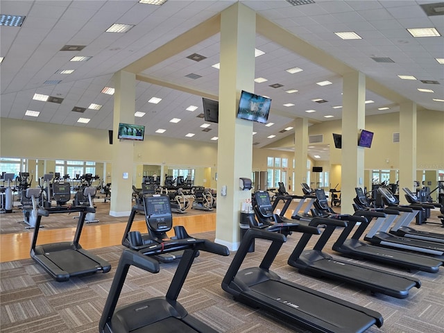 workout area featuring a healthy amount of sunlight, carpet flooring, high vaulted ceiling, and a drop ceiling