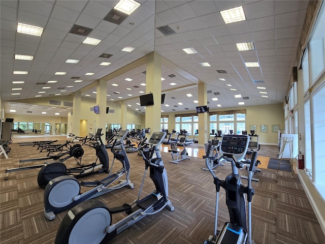 workout area featuring lofted ceiling, carpet floors, and a drop ceiling