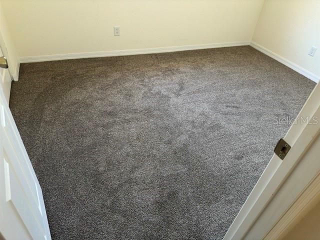 room details featuring carpet