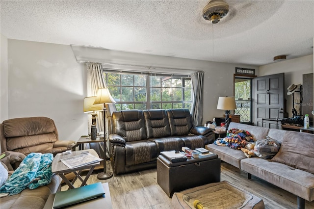 living room featuring wood-type flooring and a textured ceiling