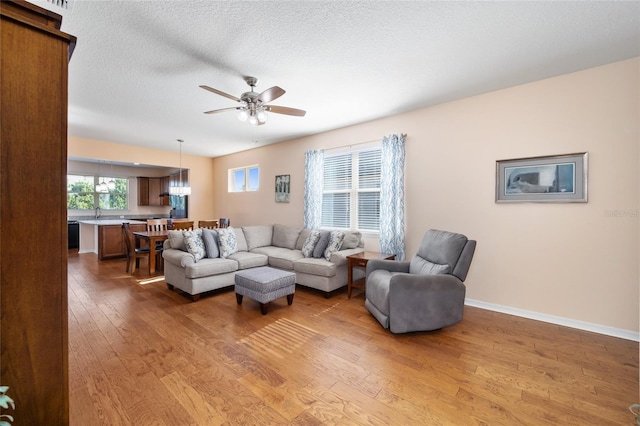 living room with wood-type flooring, a textured ceiling, and ceiling fan