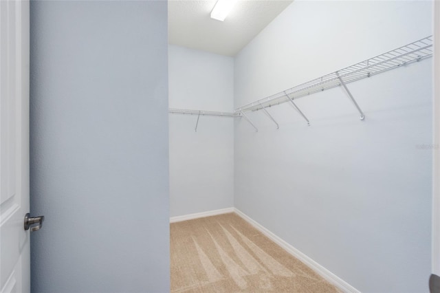 spacious closet featuring light colored carpet