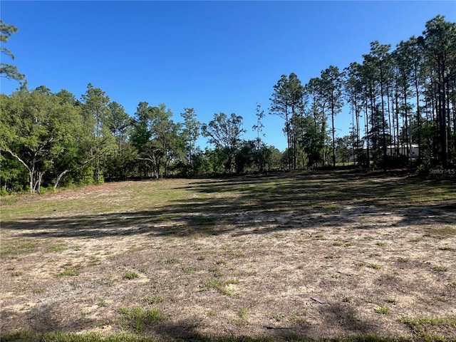12205 SW 71st Lane Rd, Ocala, FL 34481 - view of yard