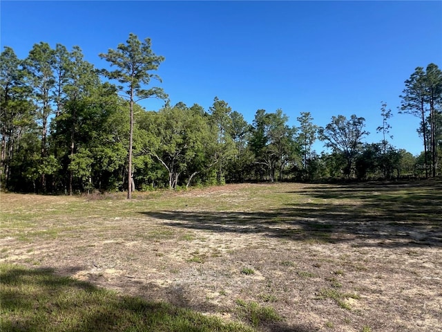 12205 SW 71st Lane Rd, Ocala, FL 34481 - view of yard featuring a view of trees