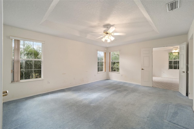 spare room with carpet flooring, a raised ceiling, a textured ceiling, and a wealth of natural light