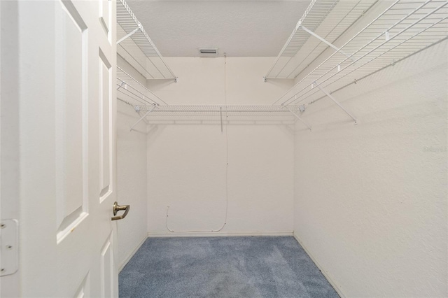 spacious closet with carpet floors