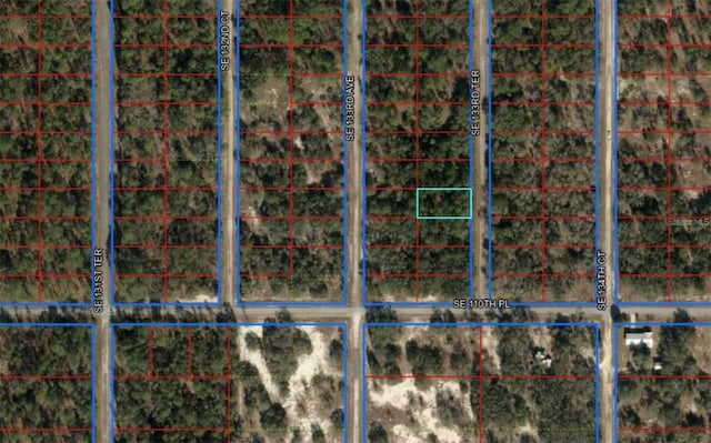 00 SW 133rd Ter, Dunnellon FL, 34431 land for sale