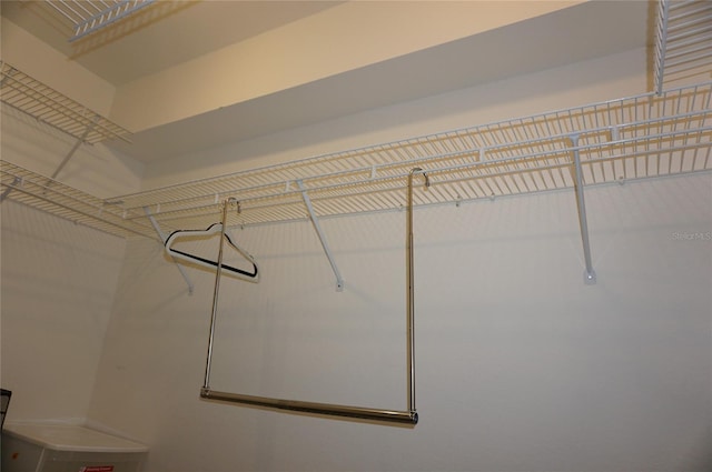 6688 SW 113th Pl, Ocala, FL 34476 - view of walk in closet