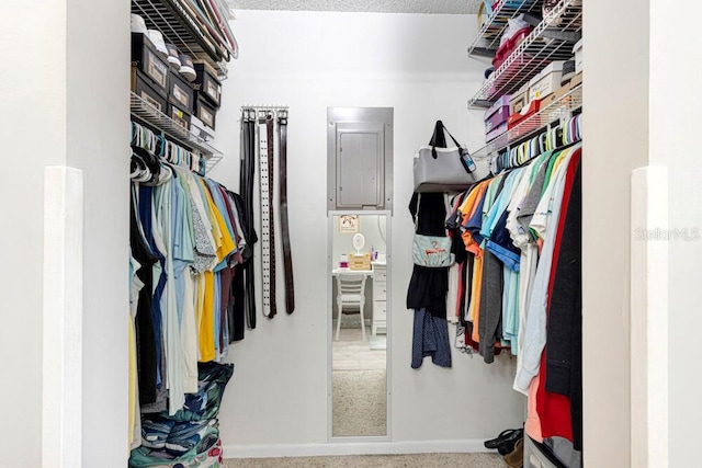 view of spacious closet