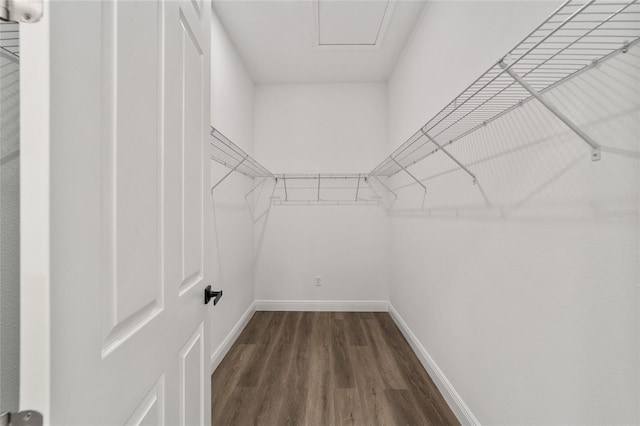 walk in closet with dark hardwood / wood-style floors