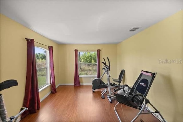 workout room with wood-type flooring