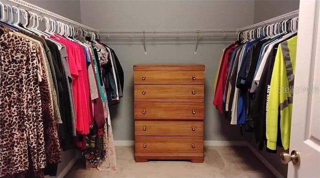 spacious closet with light colored carpet