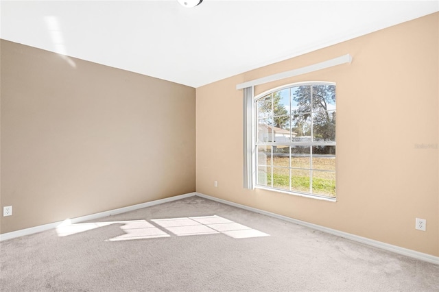 spare room featuring light carpet