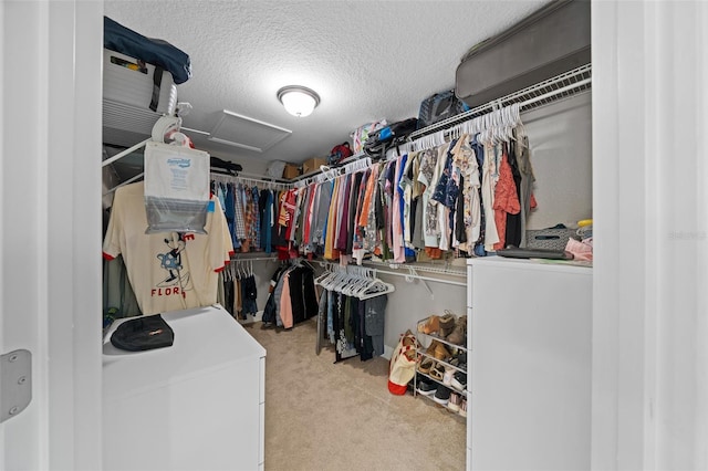 spacious closet with light colored carpet