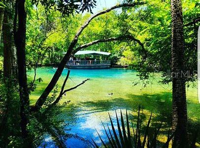8375 N Jay Dr, Citrus Springs, FL 34434 - water view featuring a heavily wooded area