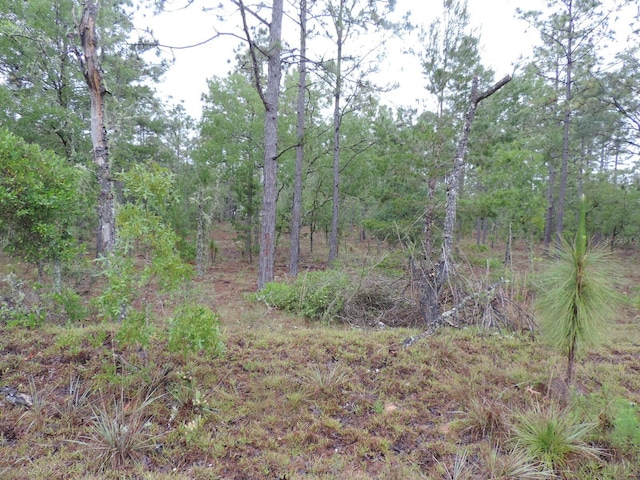 TBD Pony Ridge, Dunnellon FL, 34431 land for sale