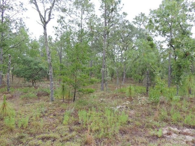 Listing photo 3 for TBD Pony Ridge, Dunnellon FL 34431