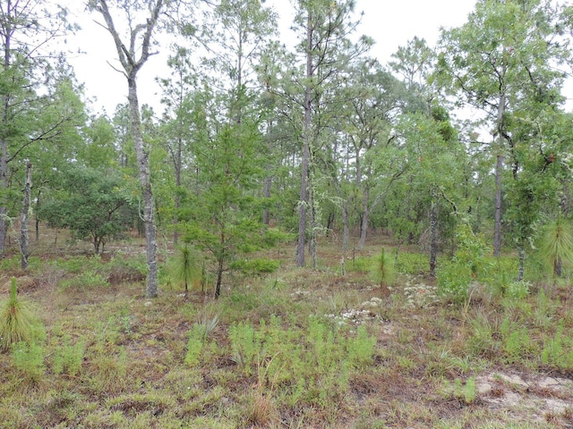TBD Pony Rdg, Dunnellon, FL 34431