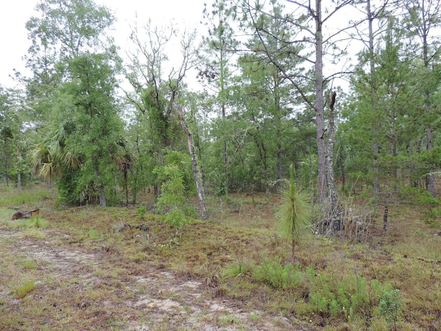 TBD Pony Rdg, Dunnellon, FL 34431
