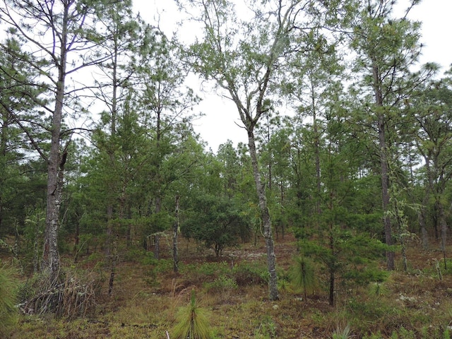 TBD Pony Rdg, Dunnellon, FL 34431