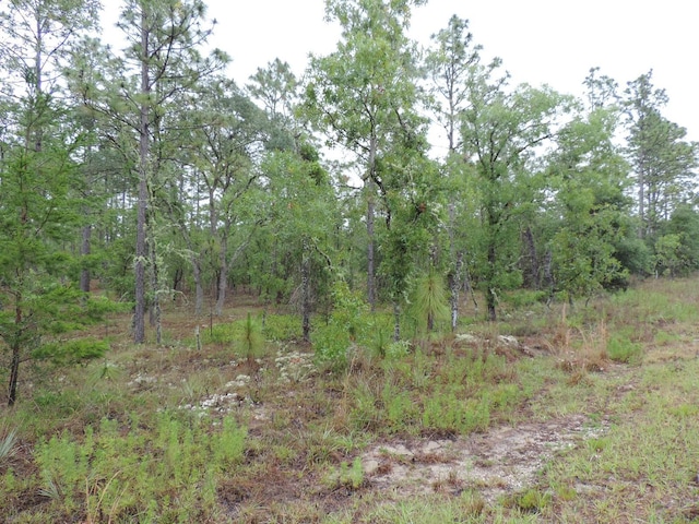 TBD Pony Rdg, Dunnellon, FL 34431