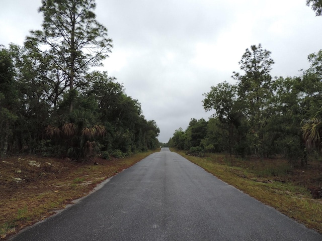 TBD Pony Rdg, Dunnellon, FL 34431