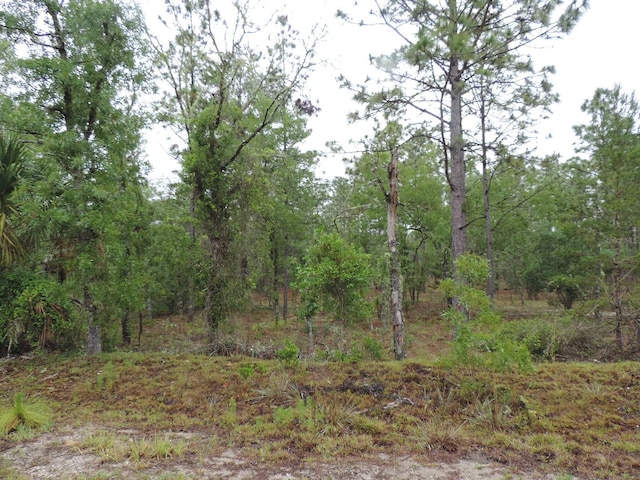 TBD Pony Rdg, Dunnellon, FL 34431