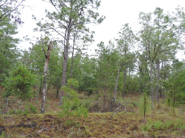 TBD Pony Rdg, Dunnellon, FL 34431