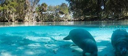 view of pool with a water view