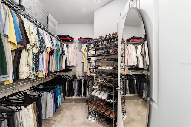 spacious closet featuring carpet