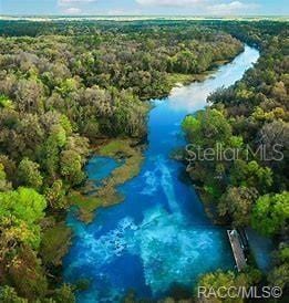 birds eye view of property with a forest view and a water view