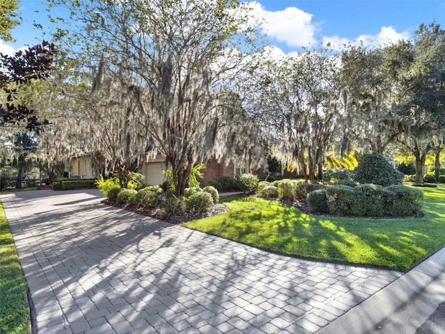 view of property's community with a yard