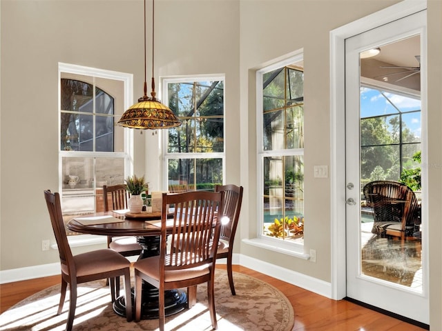 dining area featuring wood-type flooring