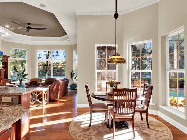 dining area with ceiling fan, wood-type flooring, and crown molding