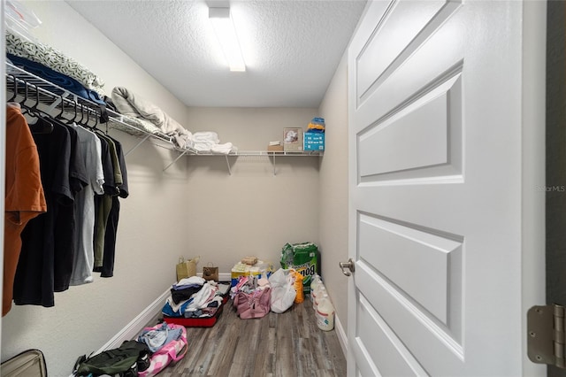 walk in closet featuring hardwood / wood-style floors