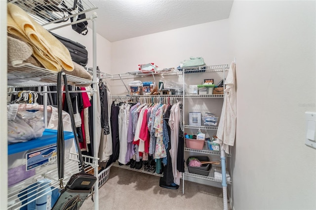 walk in closet featuring carpet floors