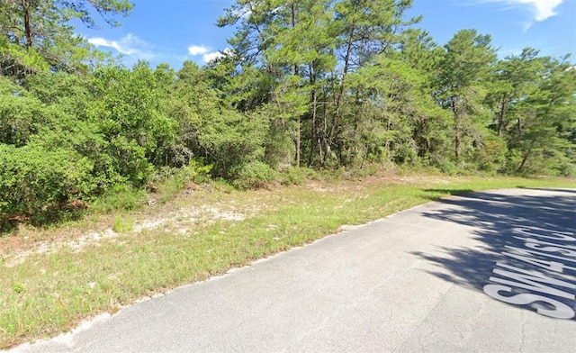 00 SW 41st Ct, Ocala FL, 34473 land for sale