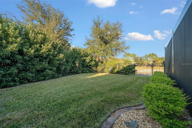9146 SW 65th Loop, Ocala, FL 34481 - view of yard