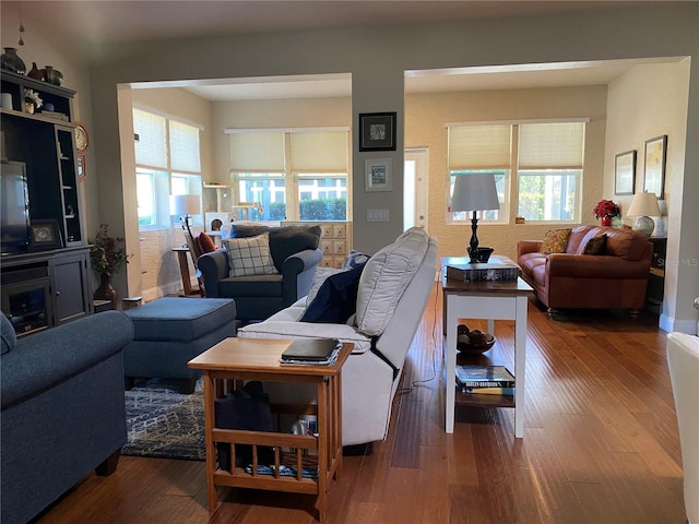 living room with hardwood / wood-style flooring