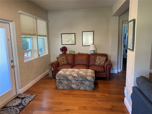 living room featuring hardwood / wood-style floors