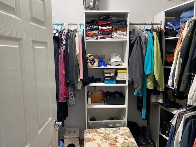 view of walk in closet