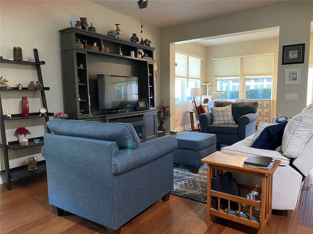 living room with dark hardwood / wood-style floors