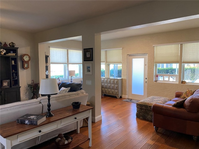 living room with hardwood / wood-style floors