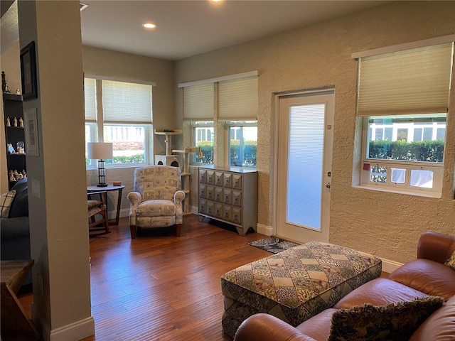 living room featuring hardwood / wood-style floors