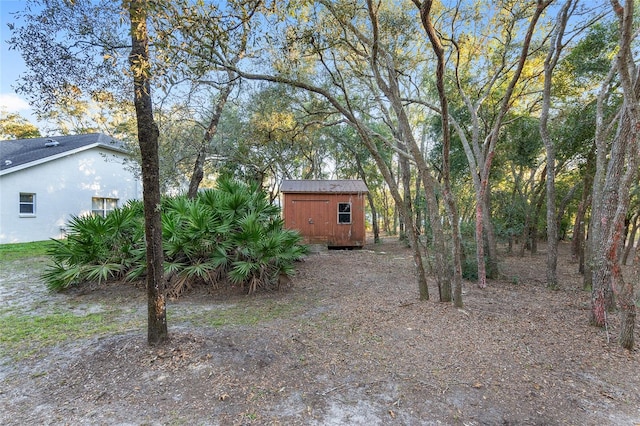 view of yard featuring a storage unit