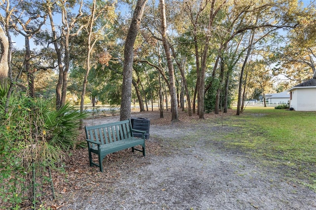 view of community featuring a yard