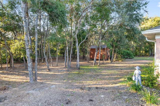 view of yard with a storage unit