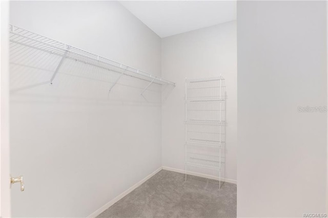 2843 W Elm Blossom St, Beverly Hills, FL 34465 - spacious closet featuring carpet